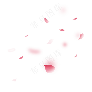花瓣,免抠元素