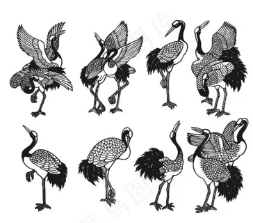 仙鹤线稿矢量素材