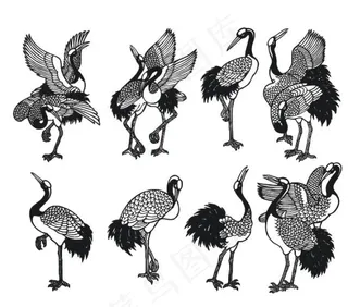 仙鹤线稿矢量素材