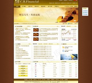 某投资公司网站首页图片