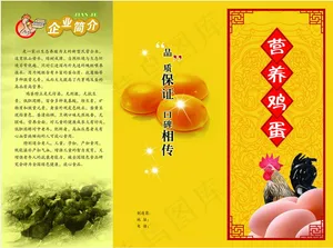 生态养鸡场营养鸡蛋