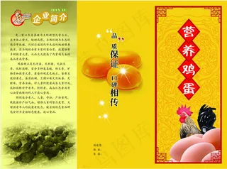 生态养鸡场营养鸡蛋