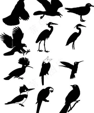 大自然元素剪影矢量n01b图片