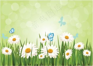 春天雏菊背景
