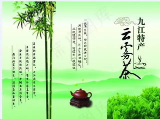 云雾茶宣传册