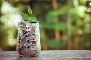 金币嫩芽小树苗孵化培育理财商务金融财富主题素材