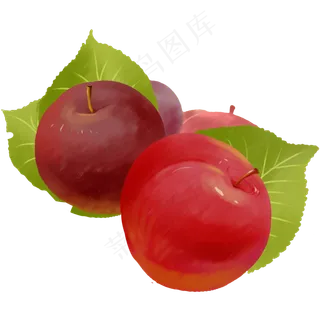 纯天然水果红李子纯天然水果红李子