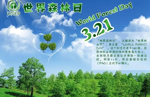 世界森林日图片 世界森林日图片