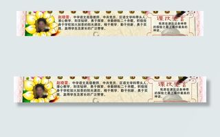 阳光课改人物展板图片