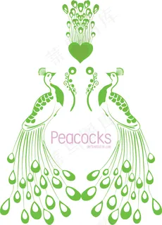 绿色的孔雀矢量素材