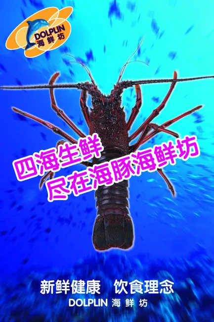 餐饮菜单菜谱模版psd模版下载