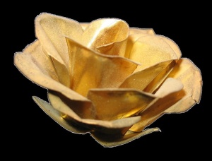 金玫瑰 gold rose图片