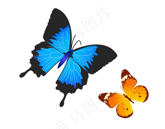 蓝色蝴蝶图片psd模版下载
