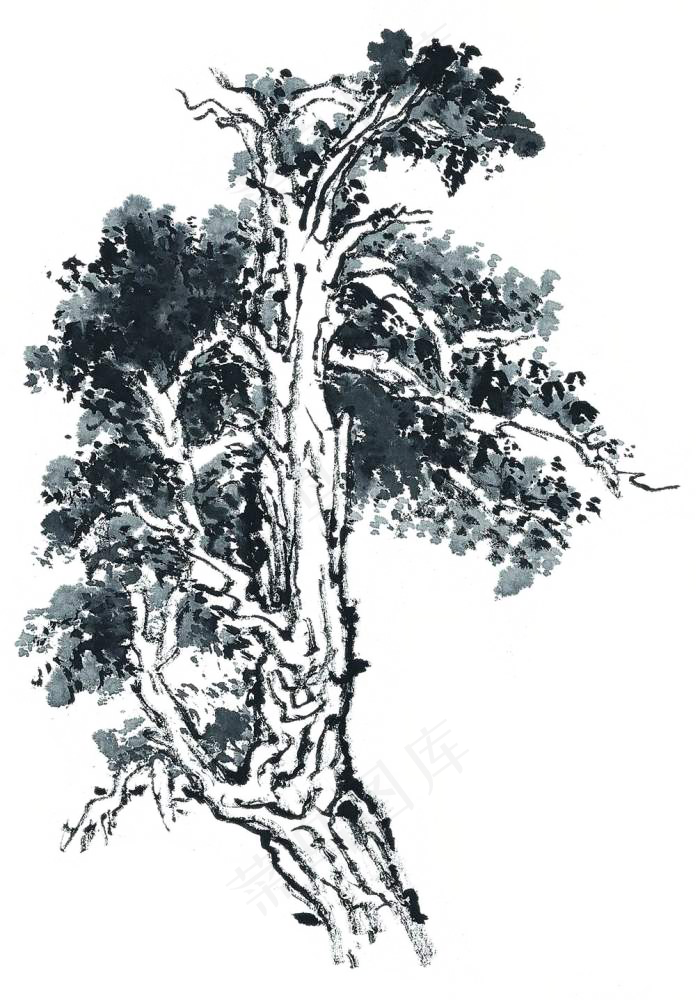 山水画迎客松树木植物png素材(696X1000)