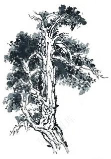山水画迎客松树木植物png素材 山水画迎客松树木植物png素材