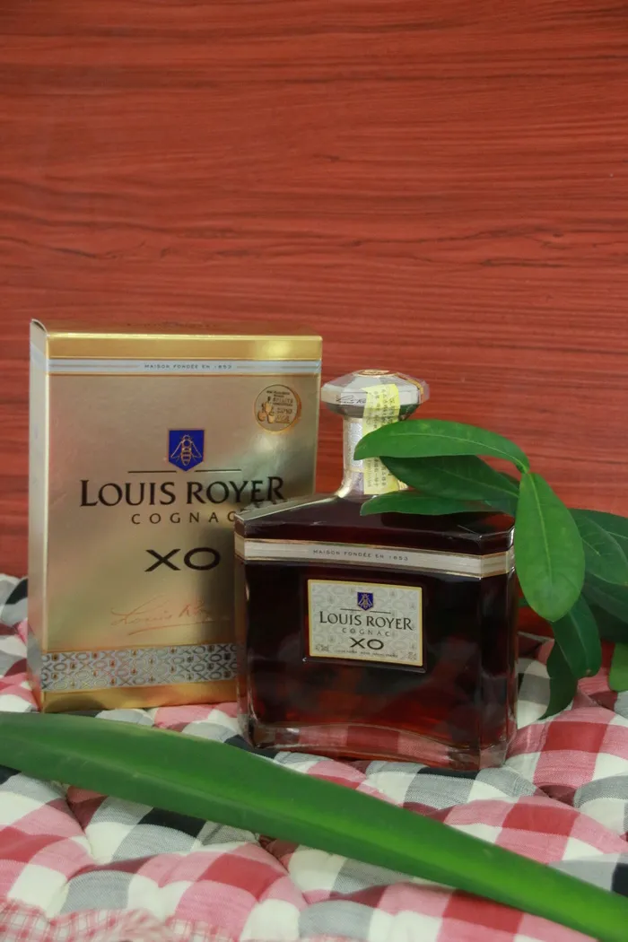 路易老爷xo图片