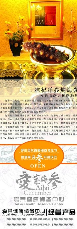 精品爱莱养身易拉宝展架图片