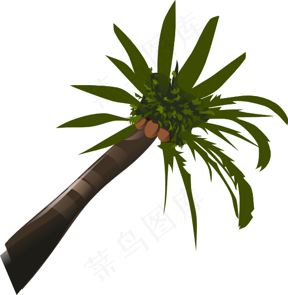 棕榈树的剪辑艺术