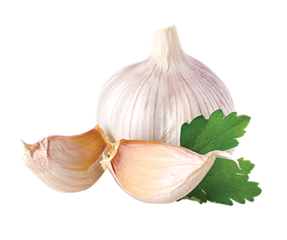 大蒜蒜头调味调料蔬菜图片png透明...