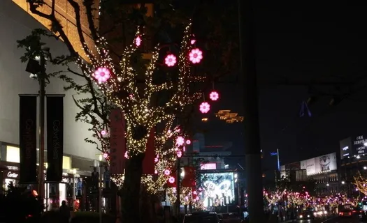上海图片 上海图片