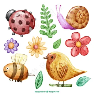 水彩画好的昆虫和动物