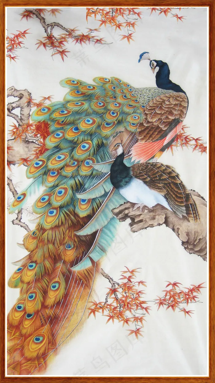 孔雀背景墙