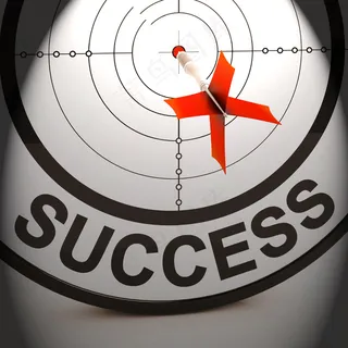 成功最好的财务业绩显示解决方案