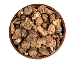 60余款蘑菇香菇草菇金针菇菌类食物...