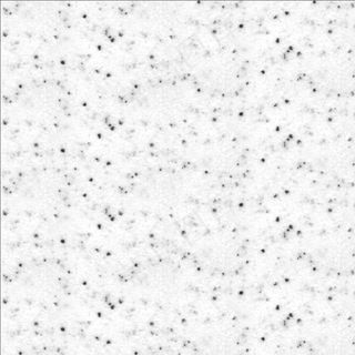 时尚卧室模型 时尚卧室模型