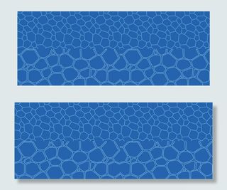 ai水立方纹理图片