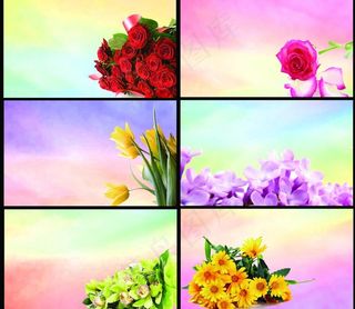 鲜花名片图片