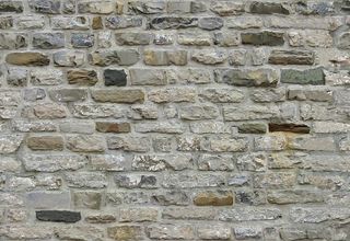 恐怖废墟 The Ruins 游戏...