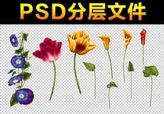 花朵素材分层免扣大图