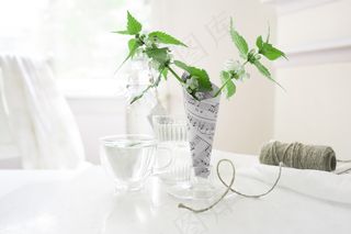 简约小清新文艺风插花静物摆拍背景