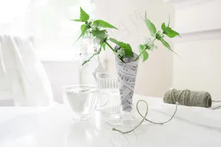 简约小清新文艺风插花静物摆拍背景