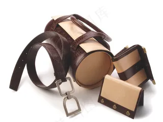 时尚欧美大牌手袋图片