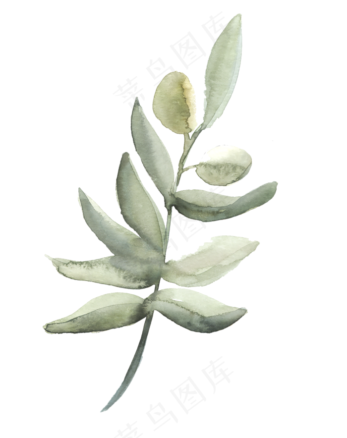 简约手绘一枝树叶png透明素材