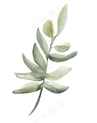 简约手绘一枝树叶png透明素材