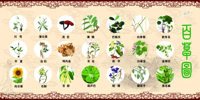 百草图 120-240(6803X3402(DPI:72))psd模版下载