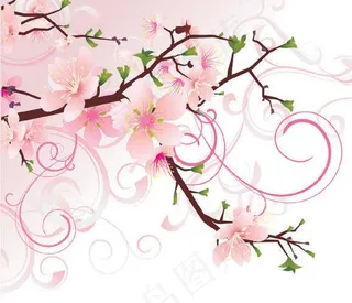 春天的树枝矢量素材图片