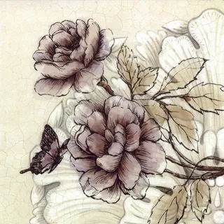 牡丹花图片 牡丹花图片