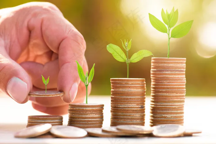 金币嫩芽小树苗孵化培育理财商务金融财富主题素材