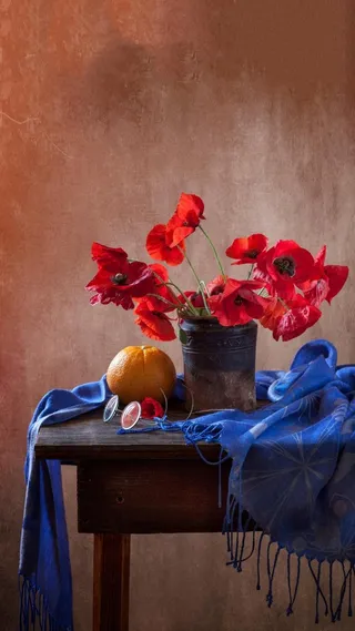 复古风红色的鲜花高清摄影图片