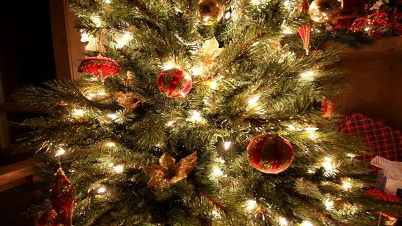 圣诞树下的礼物视频素材