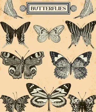 手绘古典蝴蝶矢量集03