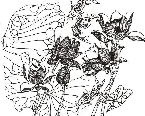 荷花鲤鱼图图片cdr矢量模版下载