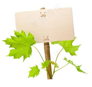 生态板高清图片