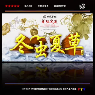 冬虫夏草广告PSD素材