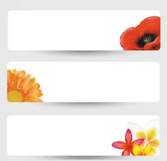 简洁横幅 简洁横幅