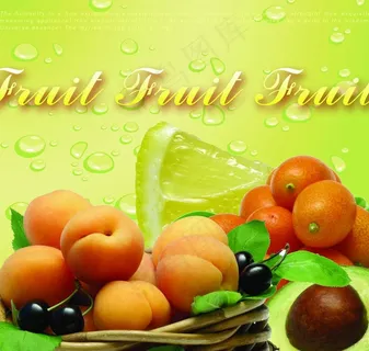 水果fruit图片